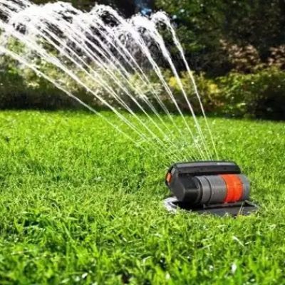 WhatsApp Image 2025-01-11 at 6.15.17 PM (1)